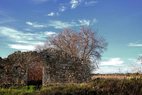 Parco nazionale dell'Alta Murgia - 