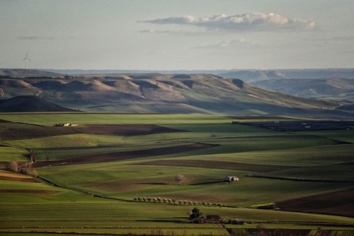 Parco nazionale dell'Alta Murgia 