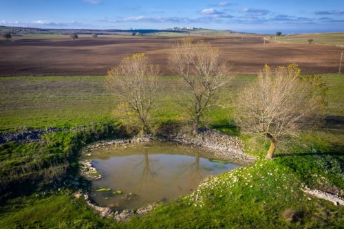 Parco nazionale dell'Alta Murgia  